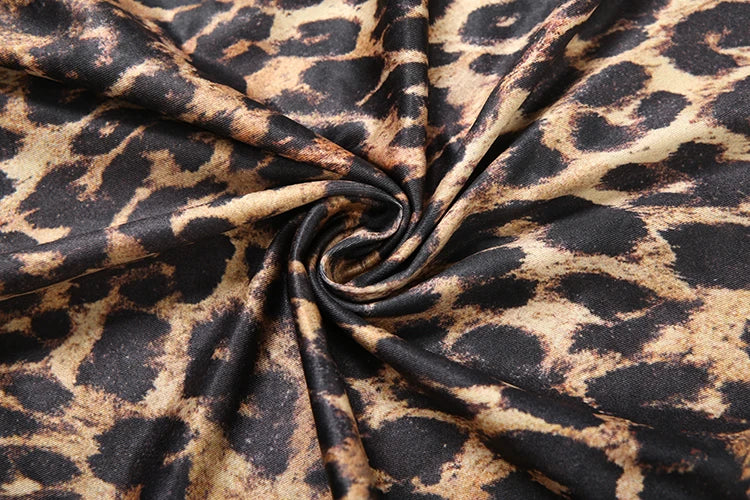 Weird Puss Leopard Print Women Dress Y2K Sexy Deep V-Neck Ruched Ribbon Skinny High Split Nightclub Party Fall Hipster Vestidos